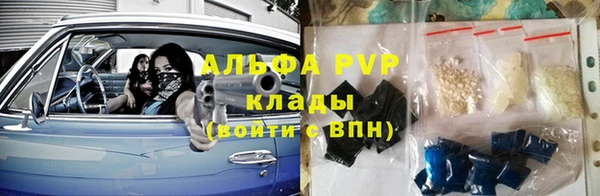 крисы Липки