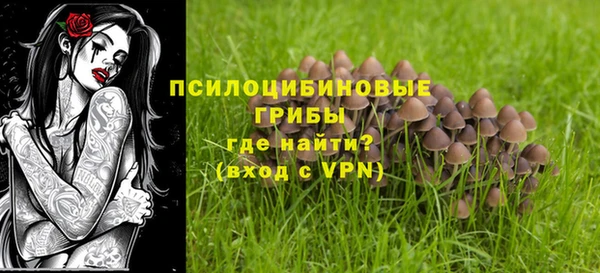 крисы Липки