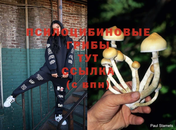 2c-b Лагань