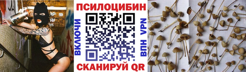 Купить закладки  Нижняя Салда  Галлюциногенные грибы мицелий 